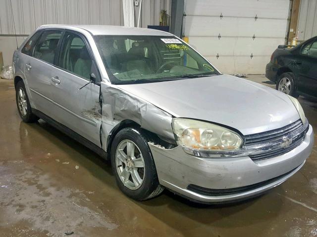 1G1ZT62875F123781 - 2005 CHEVROLET MALIBU MAX SILVER photo 1