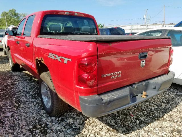 1D7HW38K48S540708 - 2008 DODGE DAKOTA SXT RED photo 3