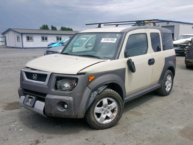 5J6YH28645L021336 - 2005 HONDA ELEMENT EX GRAY photo 2