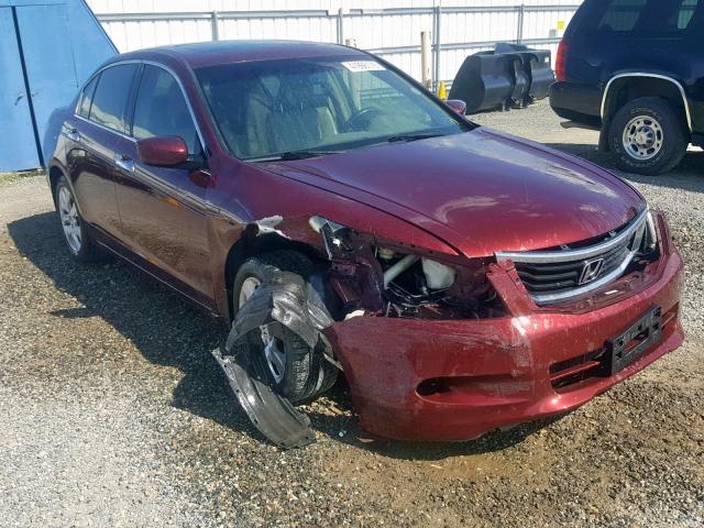 1HGCP36848A031346 - 2008 HONDA ACCORD EXL MAROON photo 1