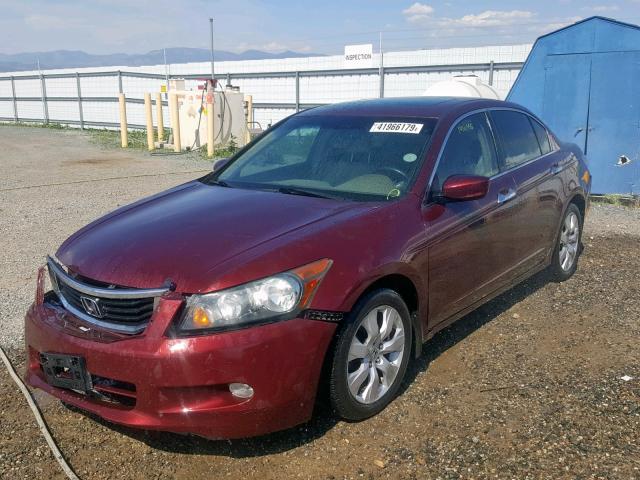 1HGCP36848A031346 - 2008 HONDA ACCORD EXL MAROON photo 2