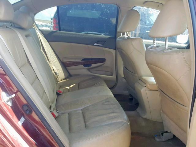 1HGCP36848A031346 - 2008 HONDA ACCORD EXL MAROON photo 6