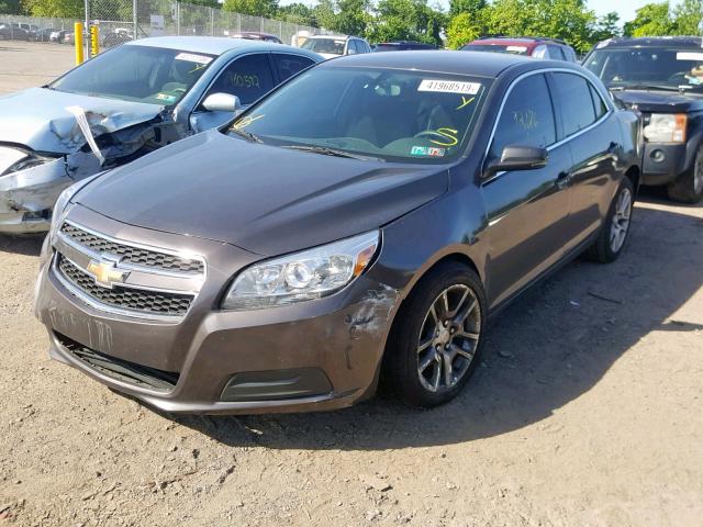 1G11C5SAXDF224497 - 2013 CHEVROLET MALIBU 1LT 棕色 照片 2