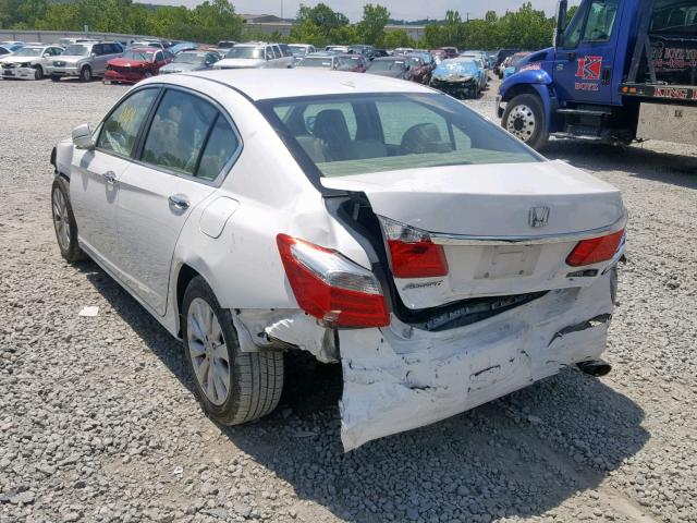 1HGCR2F82EA213031 - 2014 HONDA ACCORD EXL WHITE photo 3