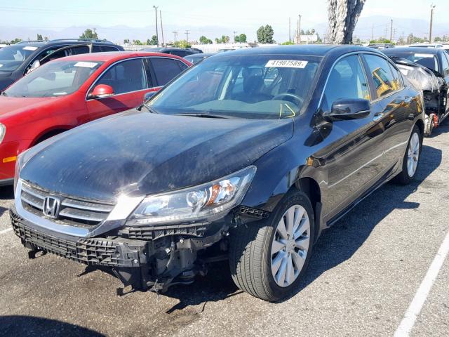 1HGCR2F83DA102549 - 2013 HONDA ACCORD EXL BLACK photo 2