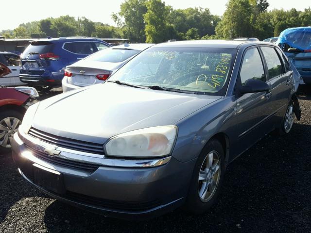 1G1ZT64825F341639 - 2005 CHEVROLET MALIBU MAX ნაცრისფერი ფოტო 2