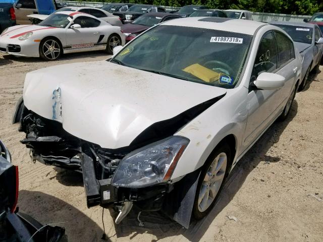 1N4BA41E68C800437 - 2008 NISSAN MAXIMA SE WHITE photo 2