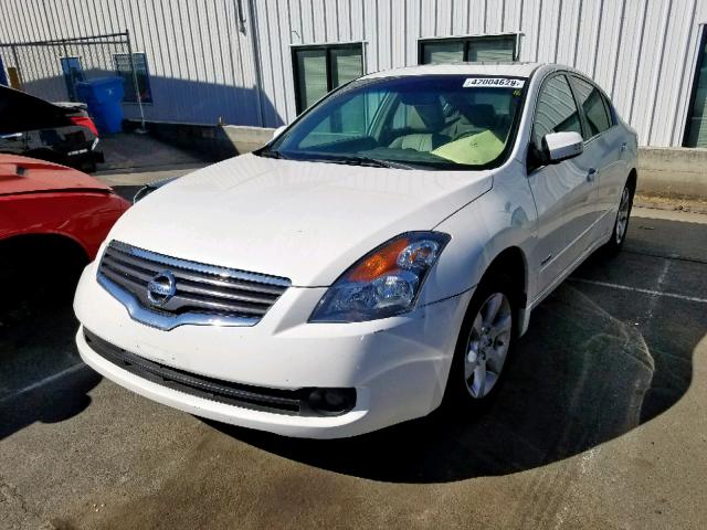 1N4CL21E89C104277 - 2009 NISSAN ALTIMA HYB WHITE photo 2