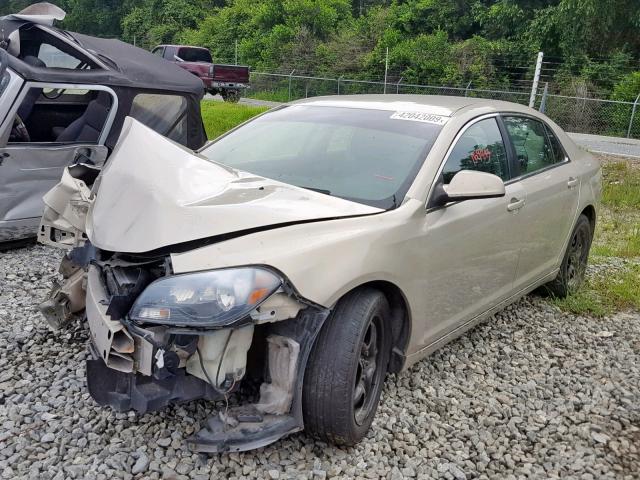 1G1ZC5E08AF175429 - 2010 CHEVROLET MALIBU 1LT 金色 照片 2