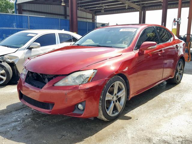 JTHBF5C28B5153098 - 2011 LEXUS IS 250 RED photo 2