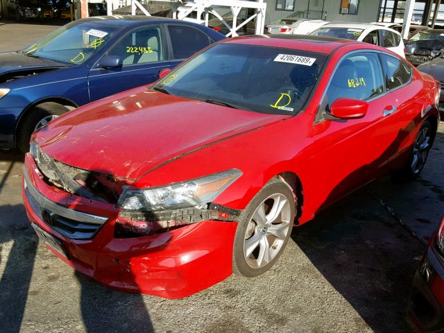 1HGCS2B85CA004387 - 2012 HONDA ACCORD EXL RED photo 2