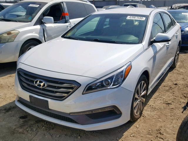 5NPE34AF7FH243257 - 2015 HYUNDAI SONATA SPO WHITE photo 2