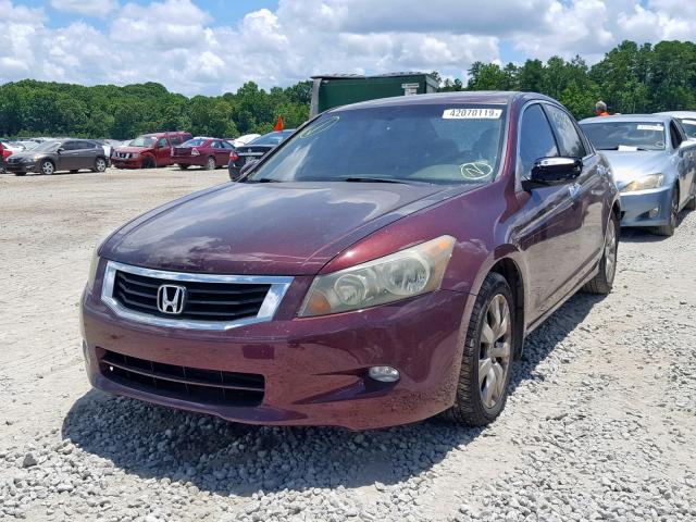 1HGCP36818A038786 - 2008 HONDA ACCORD EXL BURGUNDY photo 2