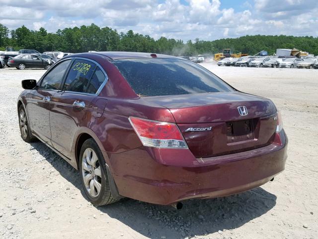 1HGCP36818A038786 - 2008 HONDA ACCORD EXL BURGUNDY photo 3