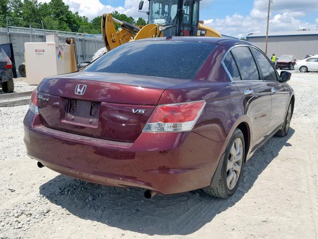 1HGCP36818A038786 - 2008 HONDA ACCORD EXL BURGUNDY photo 4