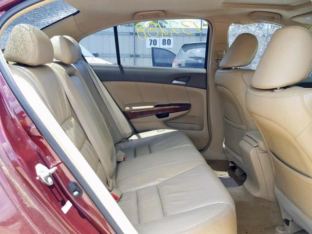 1HGCP36818A038786 - 2008 HONDA ACCORD EXL BURGUNDY photo 6