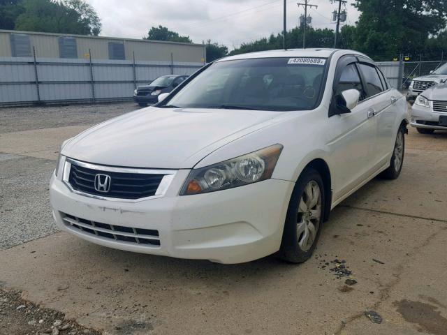 1HGCP268X8A135883 - 2008 HONDA ACCORD EXL WHITE photo 2