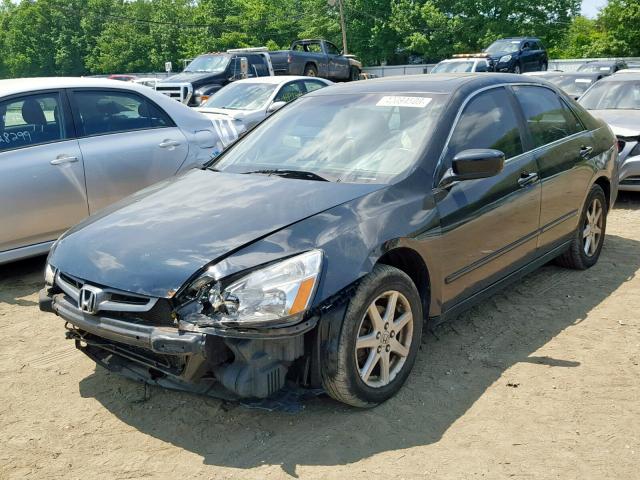 1HGCM66583A073429 - 2003 HONDA ACCORD BLACK photo 2