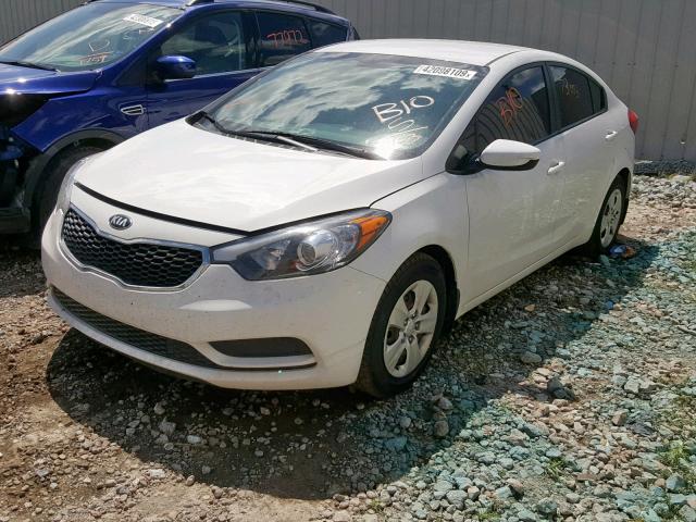 KNAFK4A64G5461453 - 2016 KIA FORTE LX WHITE photo 2