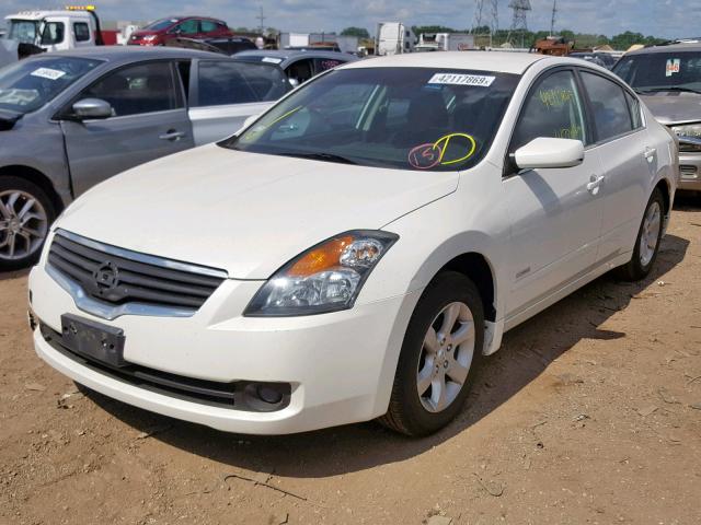 1N4CL21E59C163528 - 2009 NISSAN ALTIMA HYB WHITE photo 2