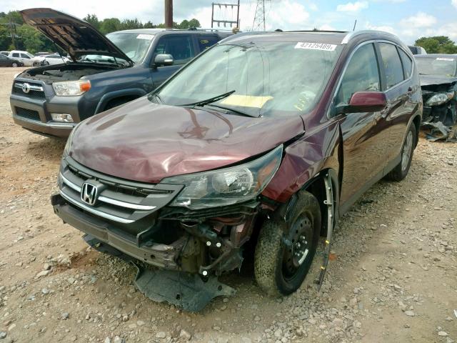 5J6RM3H74CL042778 - 2012 HONDA CR-V EXL BURGUNDY photo 2