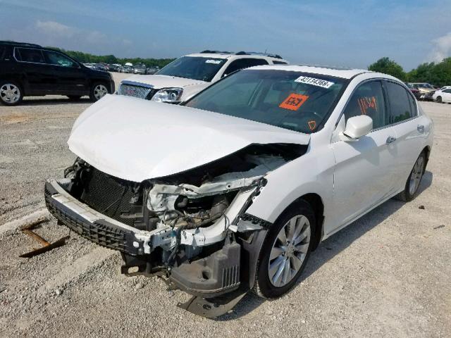 1HGCR3F80DA037925 - 2013 HONDA ACCORD EXL WHITE photo 2