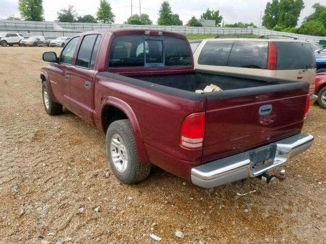 1B7HL48N82S725449 - 2002 DODGE DAKOTA QUA BURGUNDY photo 3