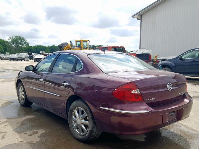 2G4WD582161307610 - 2006 BUICK LACROSSE C PURPLE photo 3