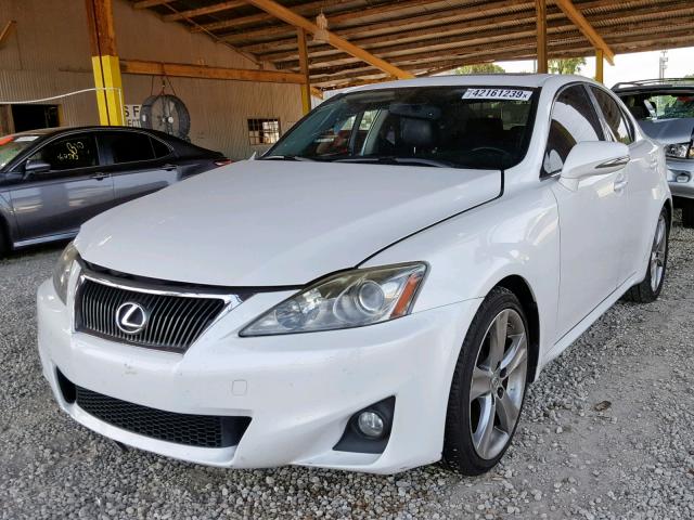 JTHBF5C23B5138993 - 2011 LEXUS IS 250 WHITE photo 2