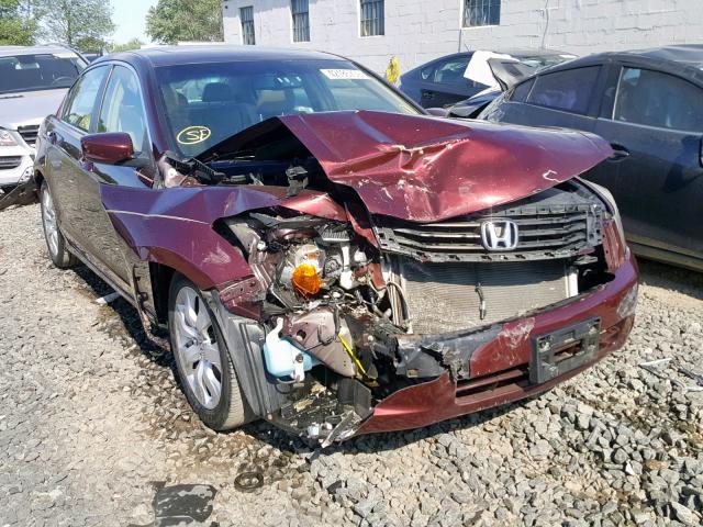 JHMCP26868C002071 - 2008 HONDA ACCORD EXL MAROON photo 1