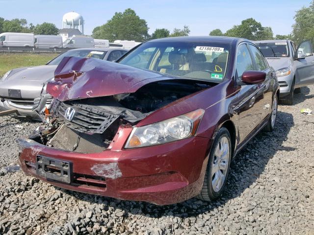 JHMCP26868C002071 - 2008 HONDA ACCORD EXL MAROON photo 2