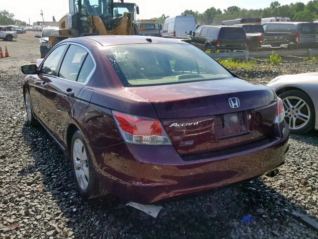 JHMCP26868C002071 - 2008 HONDA ACCORD EXL MAROON photo 3