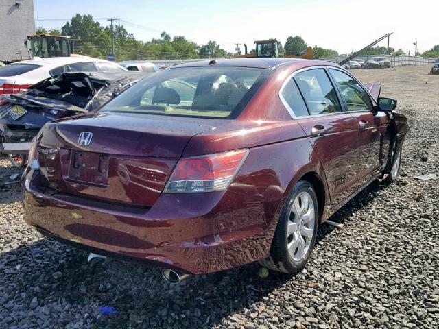 JHMCP26868C002071 - 2008 HONDA ACCORD EXL MAROON photo 4