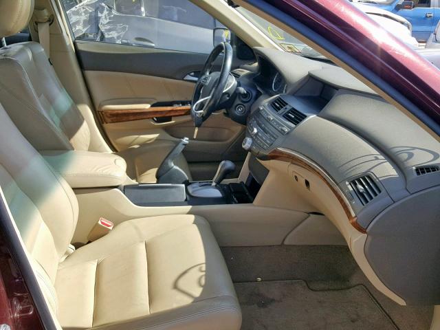 JHMCP26868C002071 - 2008 HONDA ACCORD EXL MAROON photo 5