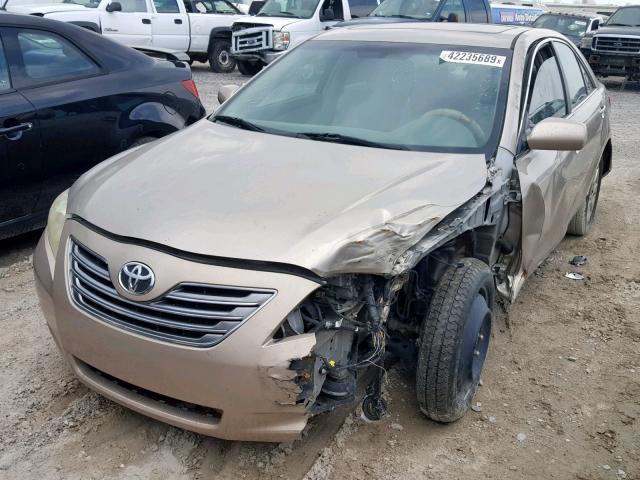 4T1BB46K19U075181 - 2009 TOYOTA CAMRY HYBR GOLD photo 2