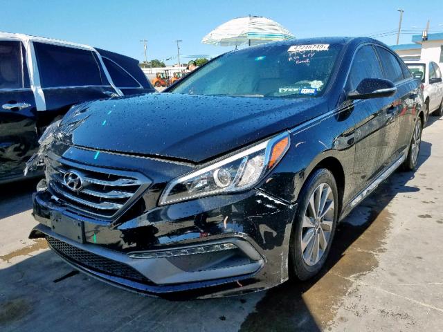 5NPE34AF6FH227535 - 2015 HYUNDAI SONATA SPO BLACK photo 2