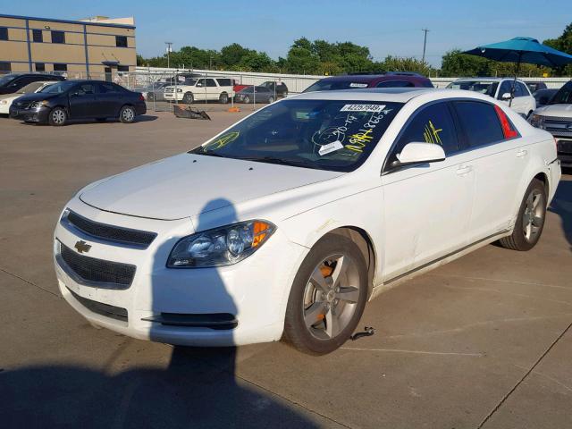 1G1ZC5E17BF218880 - 2011 CHEVROLET MALIBU 1LT 白色 照片 2