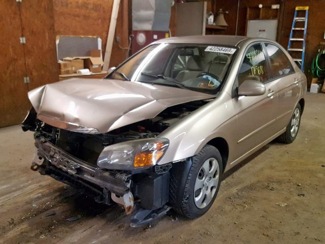 KNAFE221195586623 - 2009 KIA SPECTRA EX GOLD photo 2