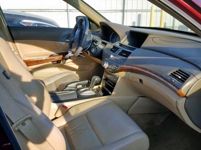 1HGCP26808A004767 - 2008 HONDA ACCORD EXL BURGUNDY photo 5