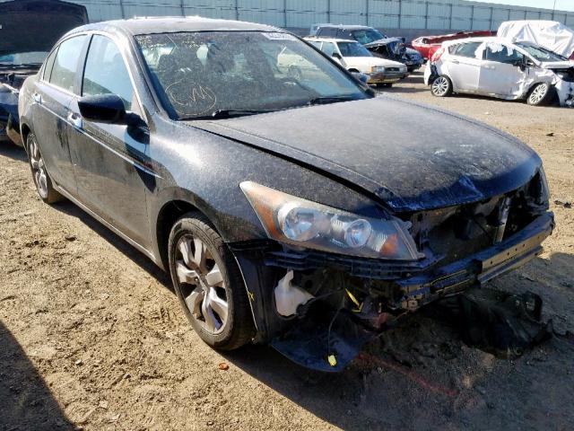 5KBCP368X9B502845 - 2009 HONDA ACCORD EXL BLACK photo 1