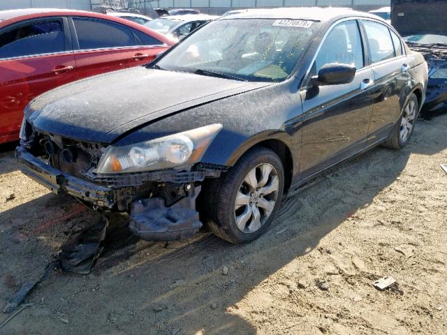 5KBCP368X9B502845 - 2009 HONDA ACCORD EXL BLACK photo 2