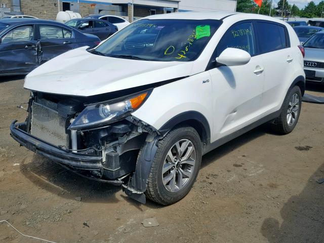 KNDPBCAC0G7873302 - 2016 KIA SPORTAGE L WHITE photo 2