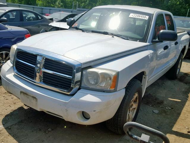 1D7HW48N75S287895 - 2005 DODGE DAKOTA QUA WHITE photo 2