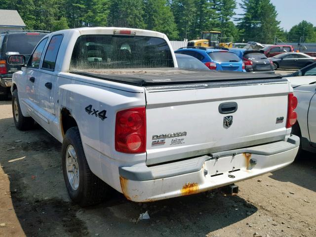 1D7HW48N75S287895 - 2005 DODGE DAKOTA QUA WHITE photo 3