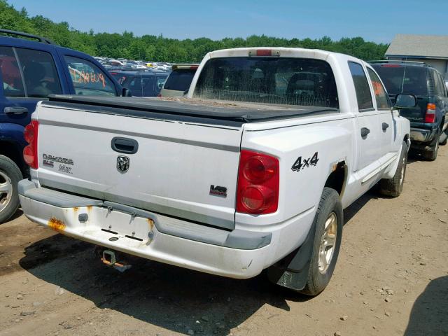 1D7HW48N75S287895 - 2005 DODGE DAKOTA QUA WHITE photo 4