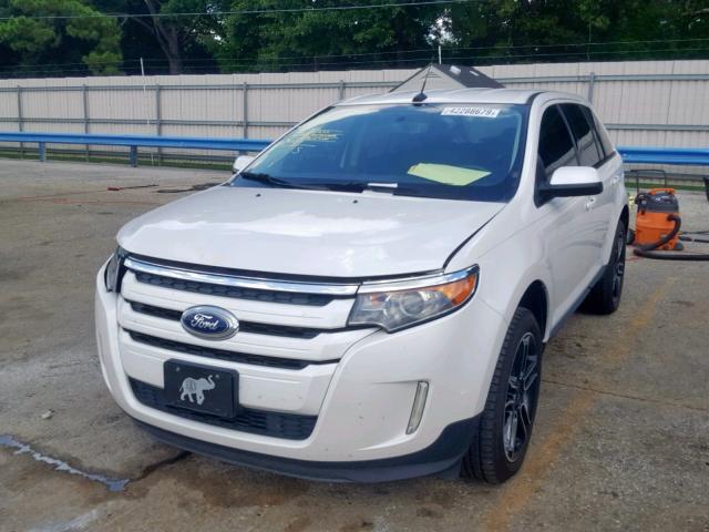 2FMDK3JC4EBB35666 - 2014 FORD EDGE SEL WHITE photo 2