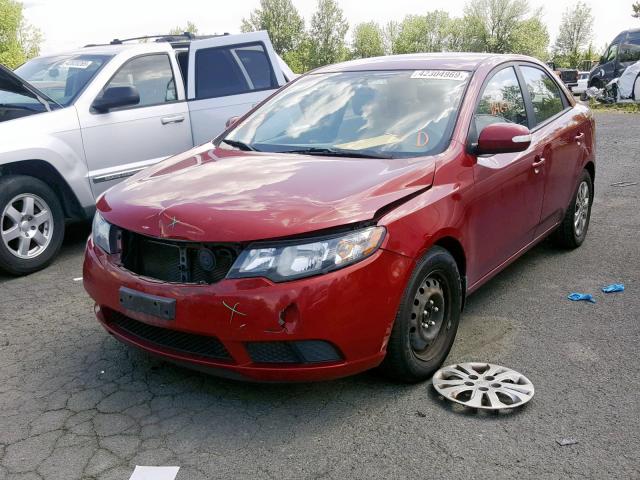 KNAFU4A23A5061706 - 2010 KIA FORTE EX RED photo 2