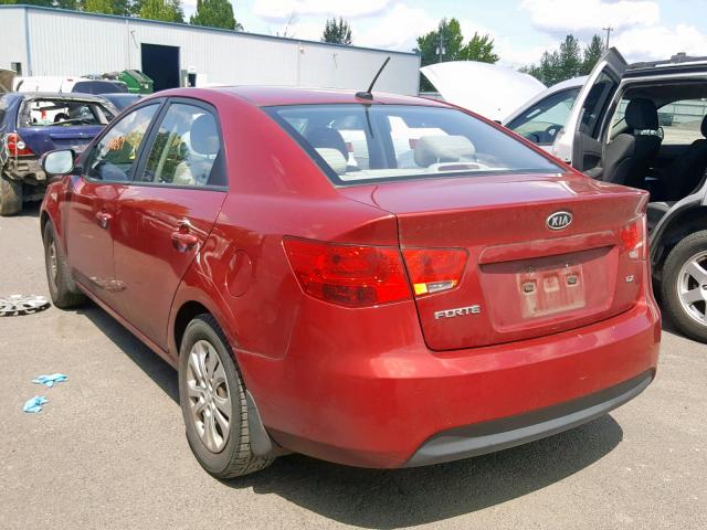 KNAFU4A23A5061706 - 2010 KIA FORTE EX RED photo 3