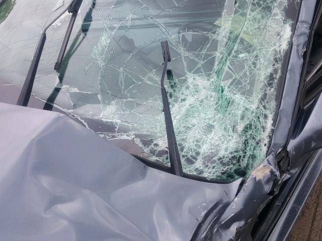 2G2WP552071117786 - 2007 PONTIAC GRAND PRIX GRAY photo 9