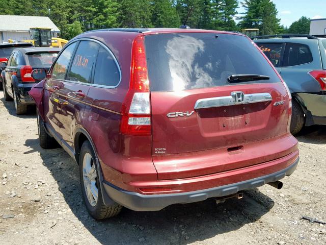 5J6RE4H70AL030319 - 2010 HONDA CR-V EXL MAROON photo 3